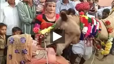 Ajab Desh Ki Gajab Tamasha â€“ Camel sucking boobs