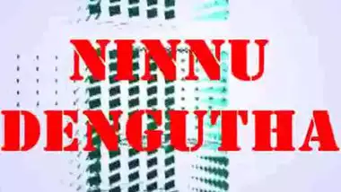 Ninnu dengutha